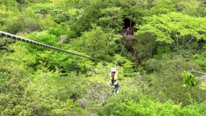 Canopy Tour